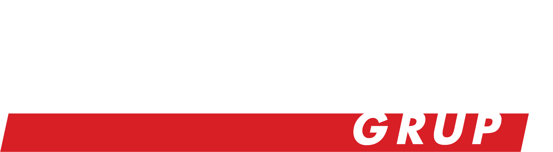 Dizayn Grup logosu